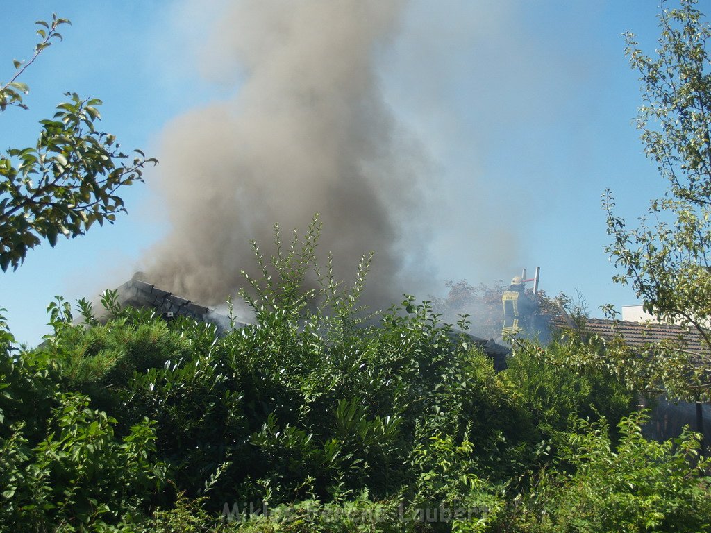 Gartenlaube in Vollbrand Koeln Poll Im Gremberger Waeldchen P104.JPG